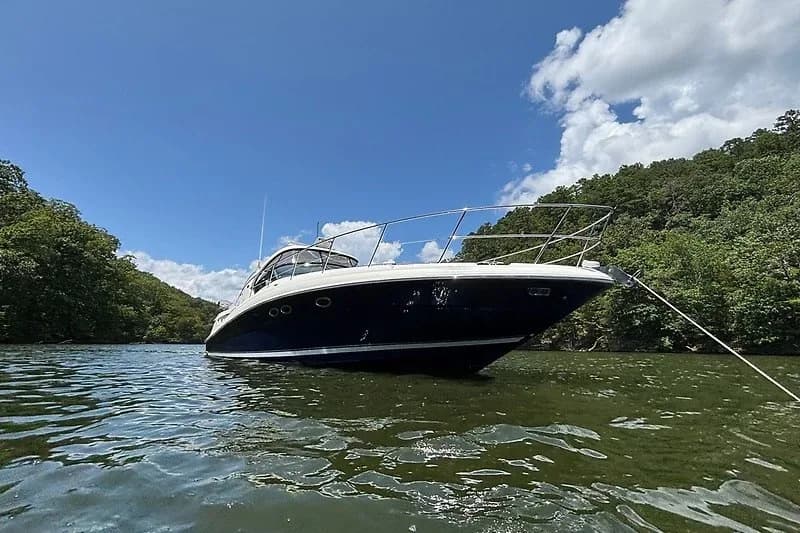 2005 Sea Ray 390 Sundancer — Counce, TN (photo 3)